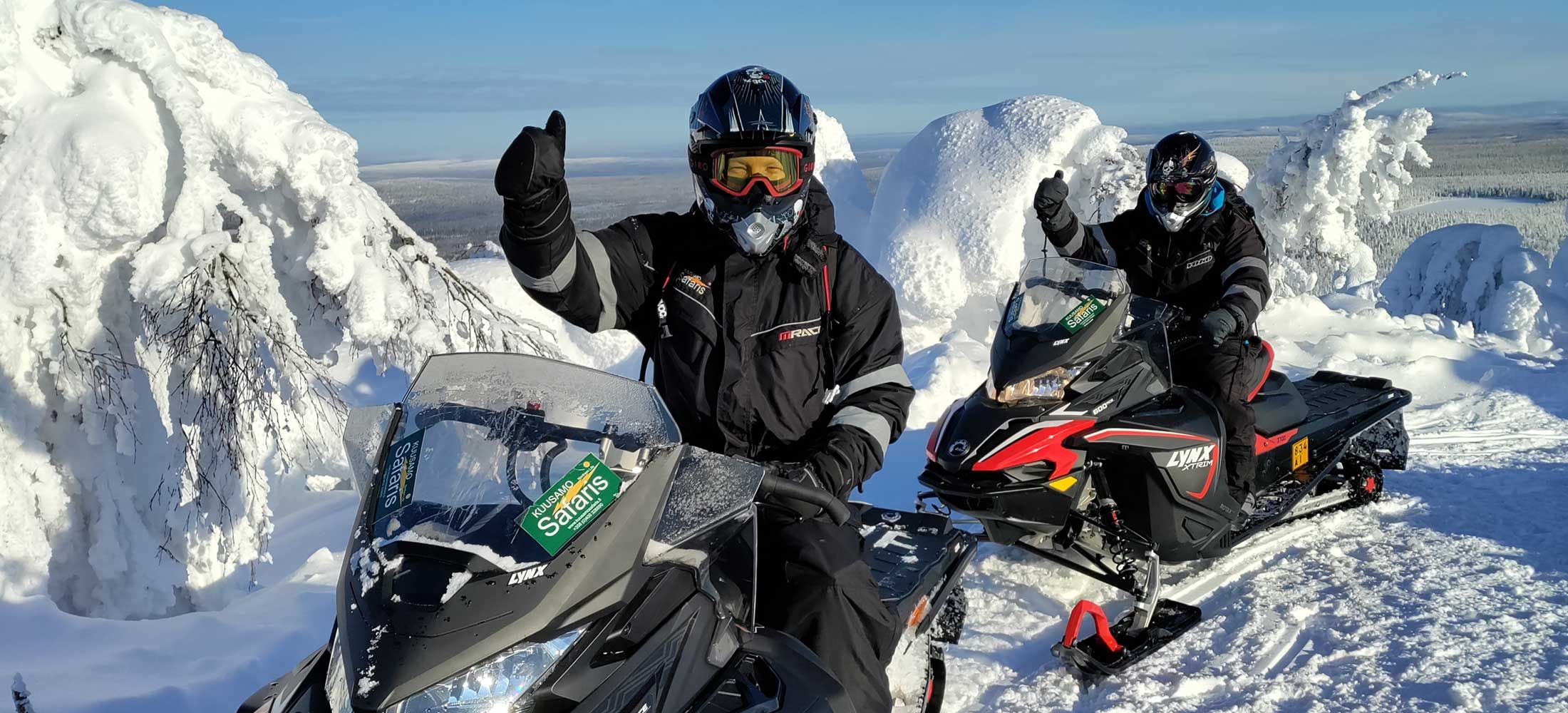 Snowmobile Safaris